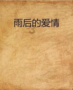 彼得比尔特379拼图