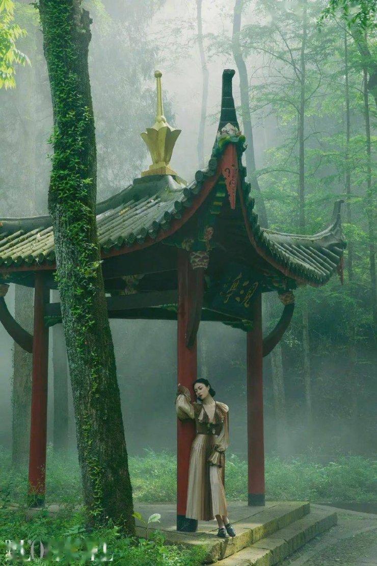 小猫钓鱼正版下载中文版