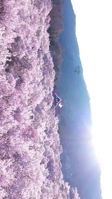 最冷零下58℃的地方，有支中国冷极马拉松队