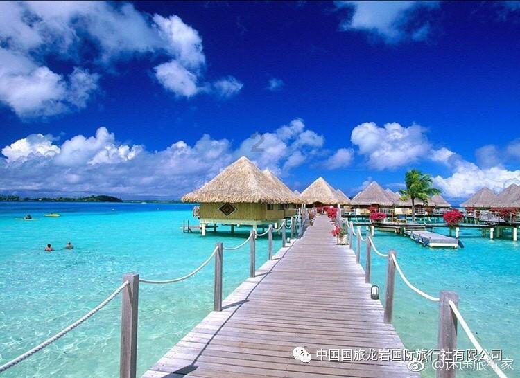 申花今天下午飞赴深圳，准备24日与利雅得胜利的友谊赛