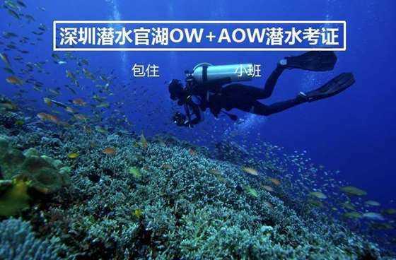 日本与美国签署协议有关从2025年起供应400枚“战斧”导弹