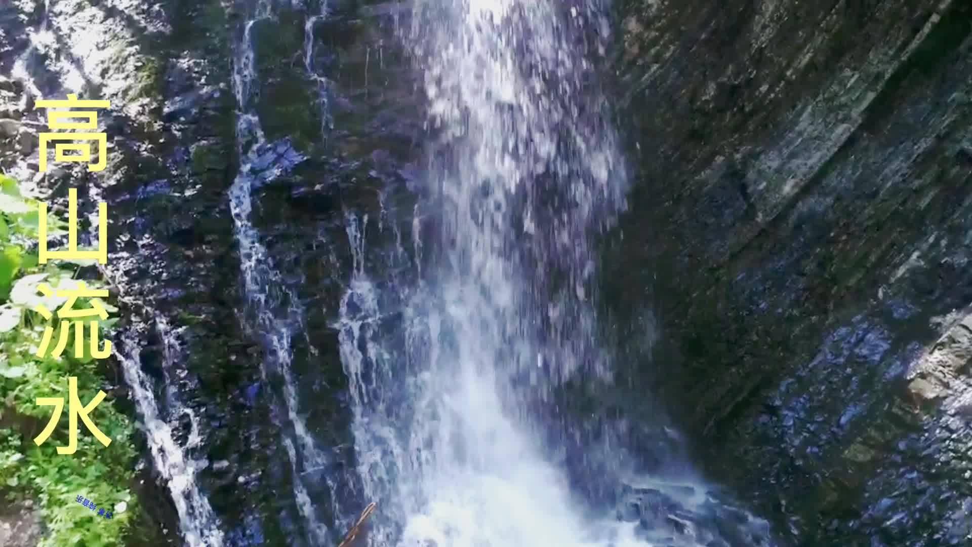 全国道德模范林秀贞到衡水菜鸟书画院参观指导